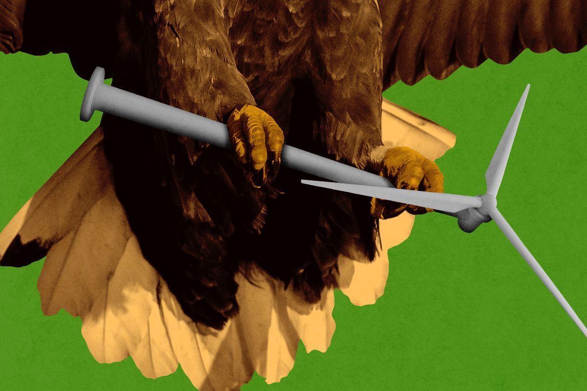 An eagle clutching a wind turbine.