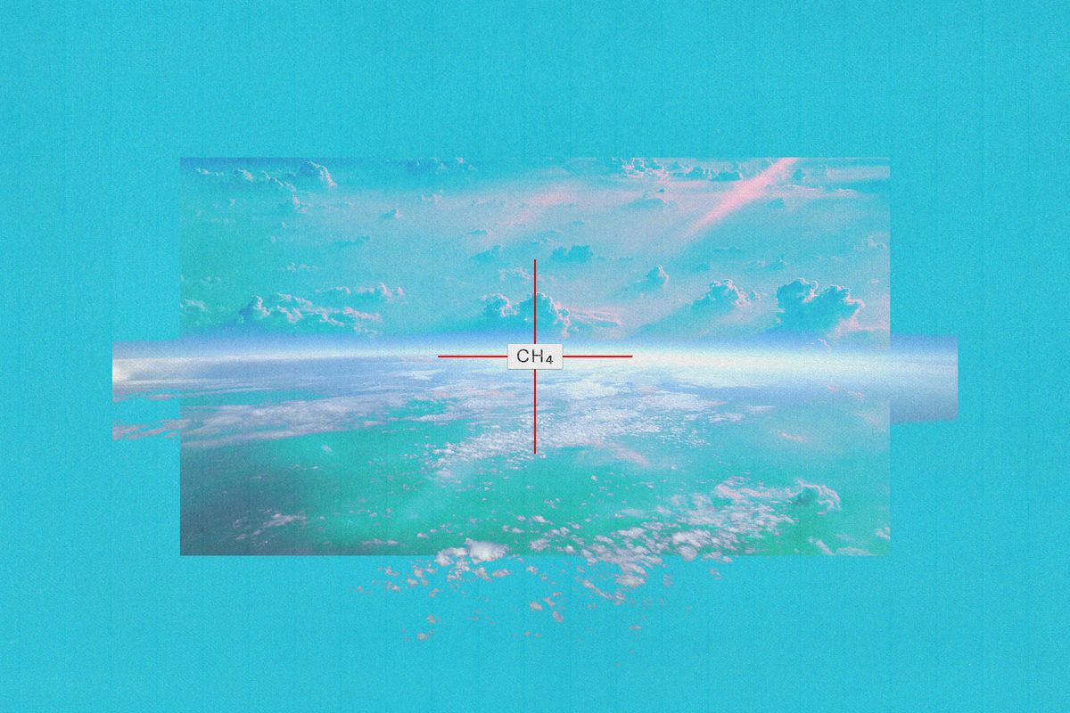 How Methane-Zapping Technology Could Finally Solve the Cow Burp Problem