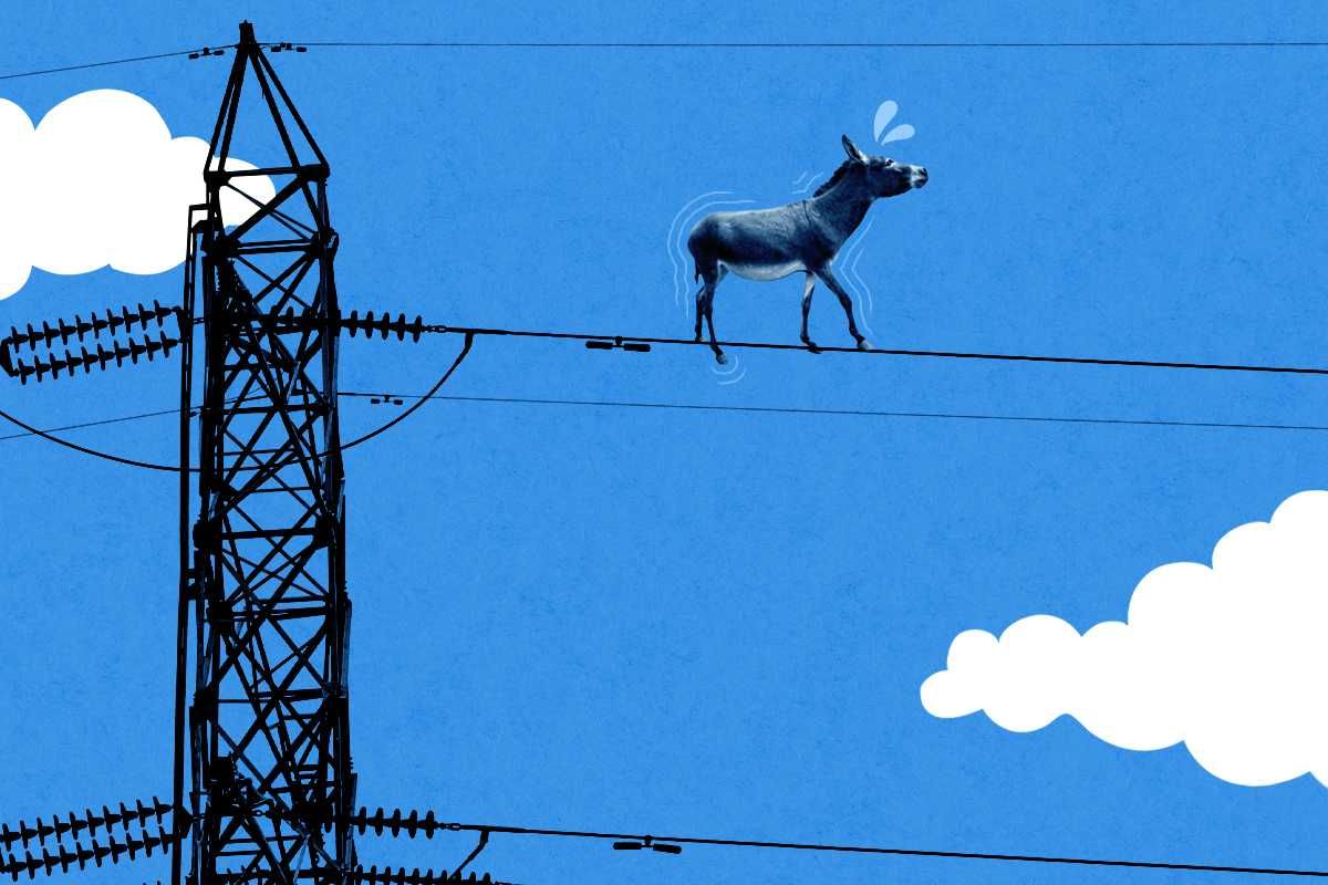 Why Electricity Prices Might Not Be a Political Win for Democrats