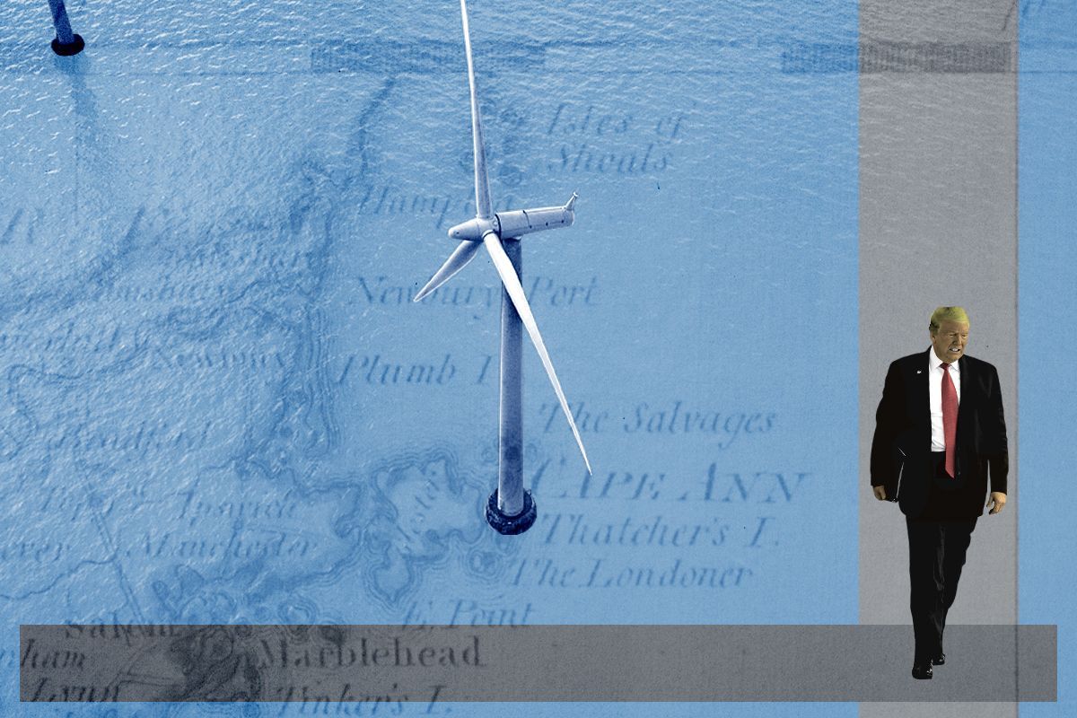 Donald Trump and wind turbines.