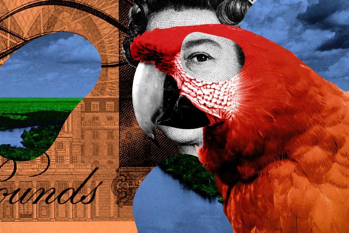 British pounds and a macaw.