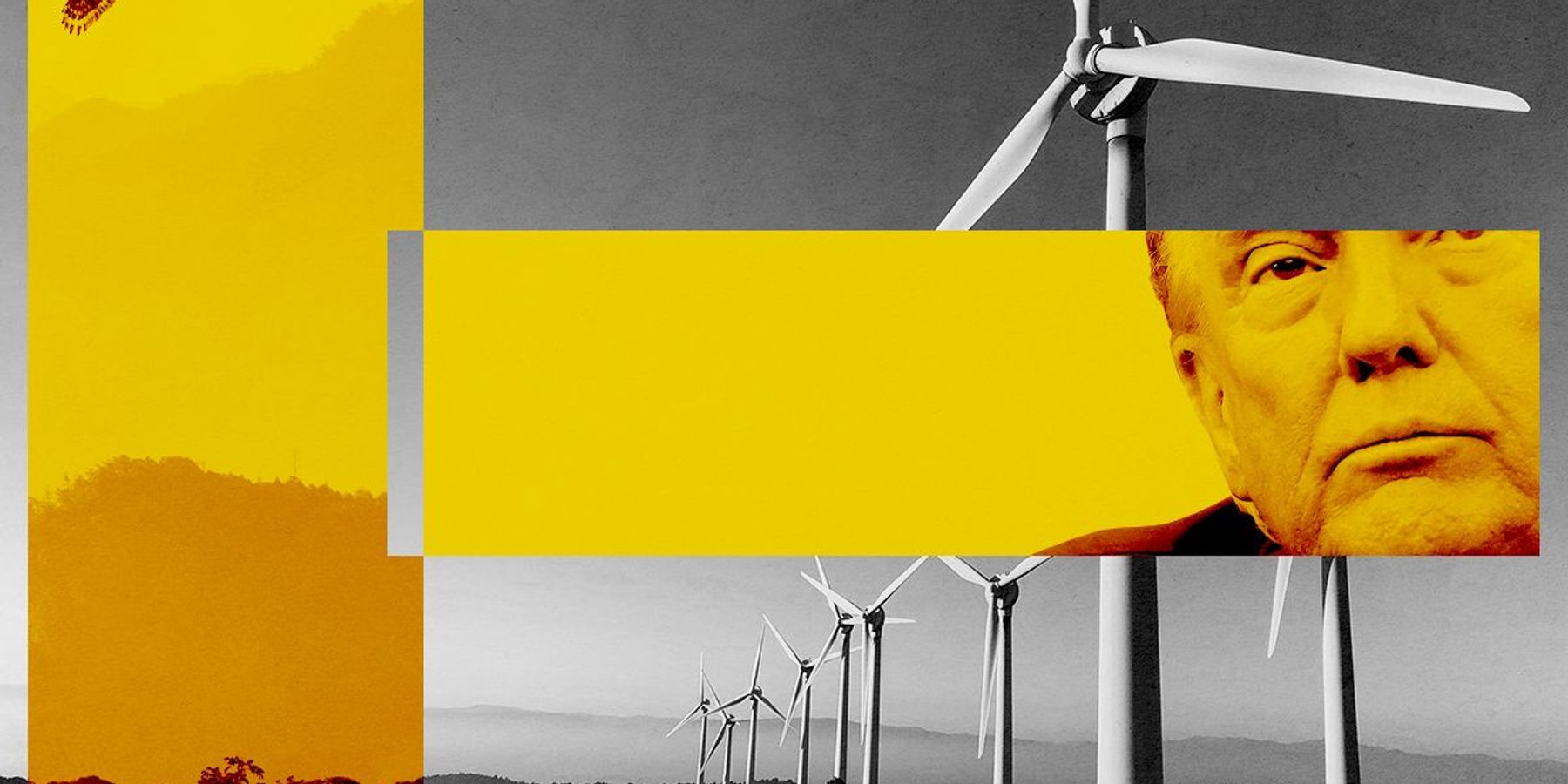 Donald Trump, an eagle, and wind turbines.