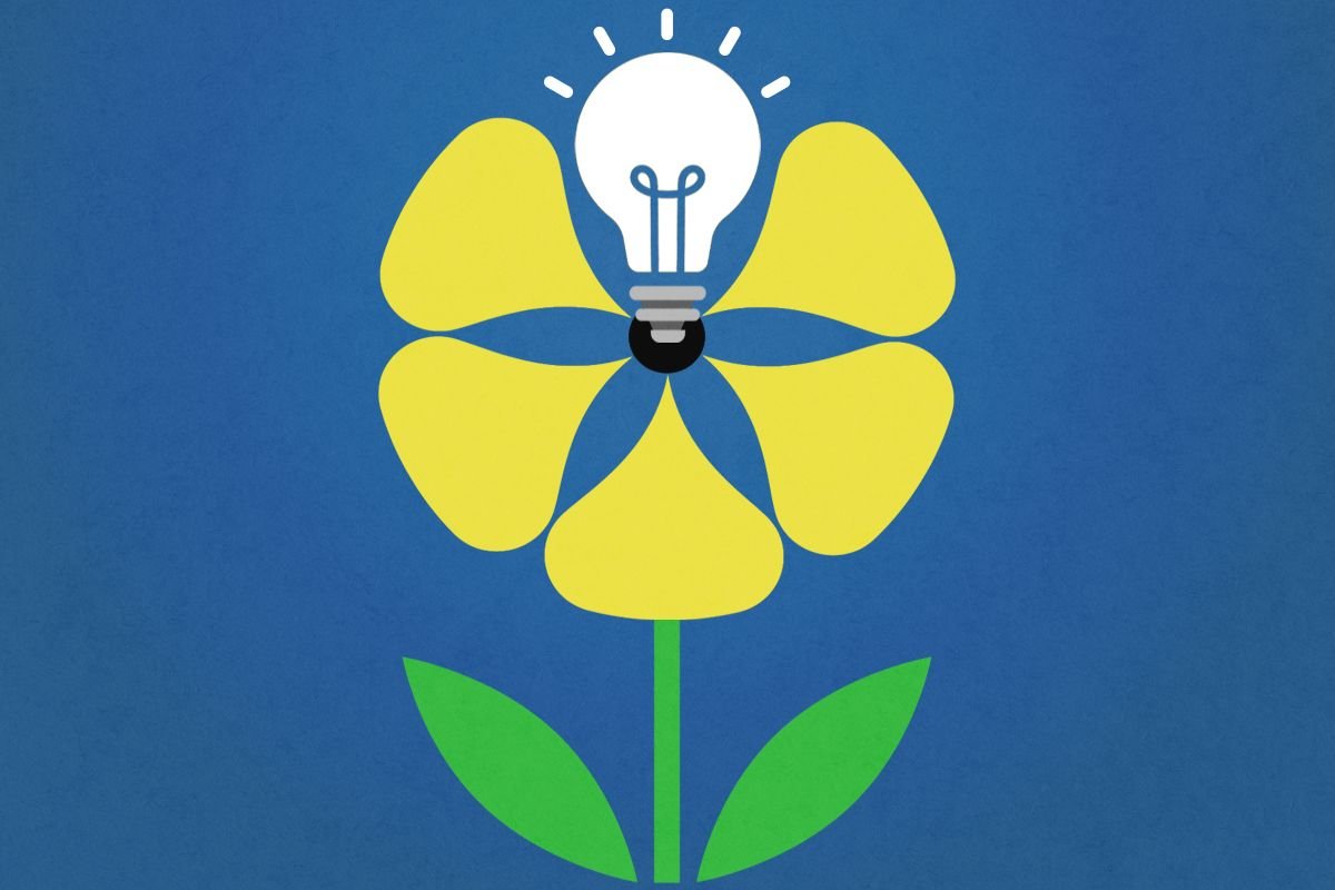 A flower and a lightbulb.