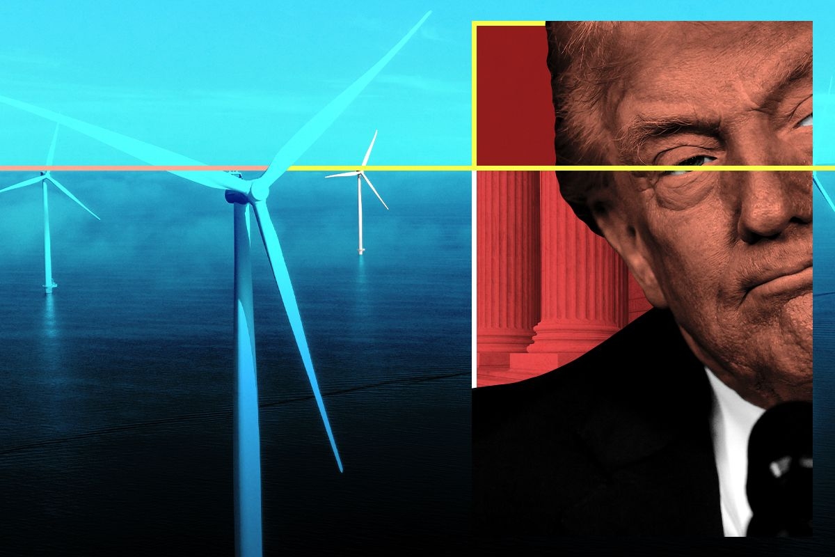 Donald Trump and wind turbines.