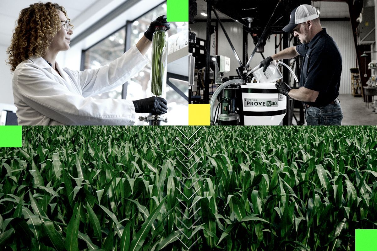 Pivot Bio technology.