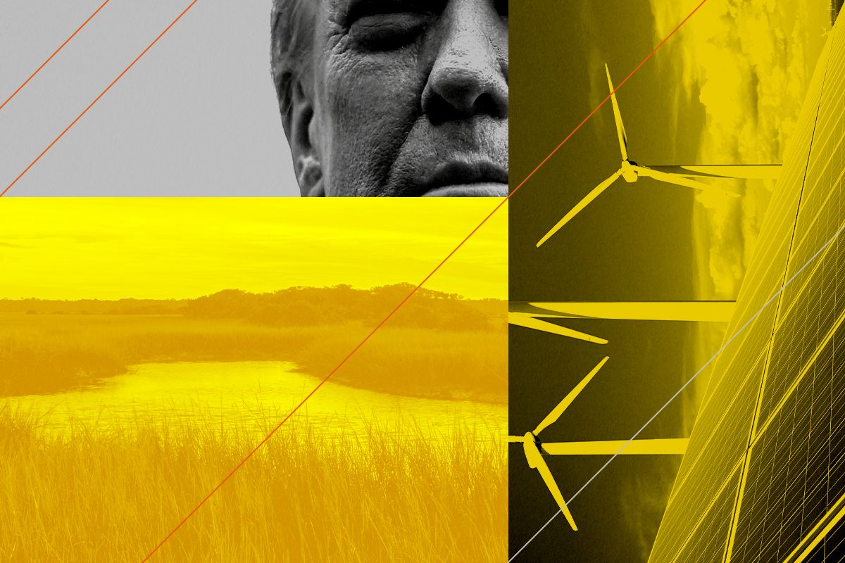 Donald Trump, wetlands, and renewable energy.