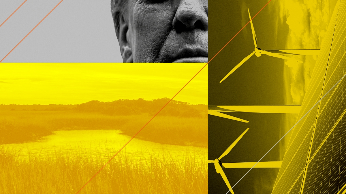 Donald Trump, wetlands, and renewable energy.