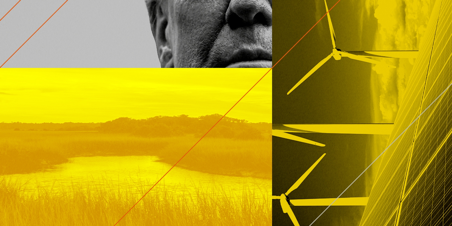 Donald Trump, wetlands, and renewable energy.