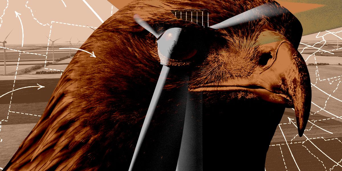 Trump Administration Restarts Key Permitting Process for Wind Farms