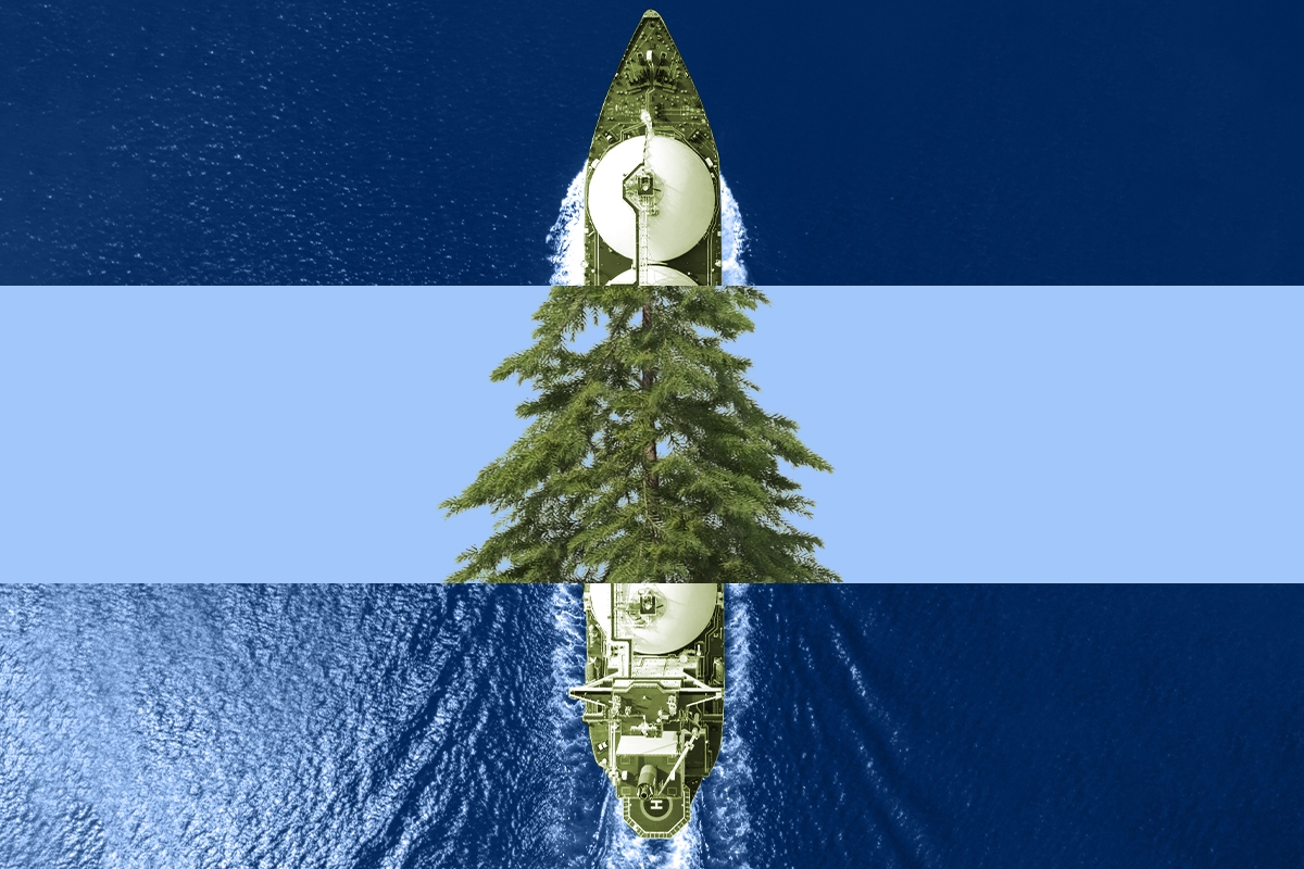 A tree and a LNG boat.