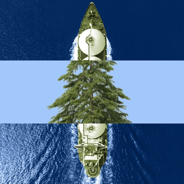 A tree and a LNG boat.