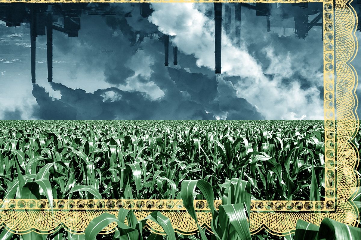 A cornfield and pollution.