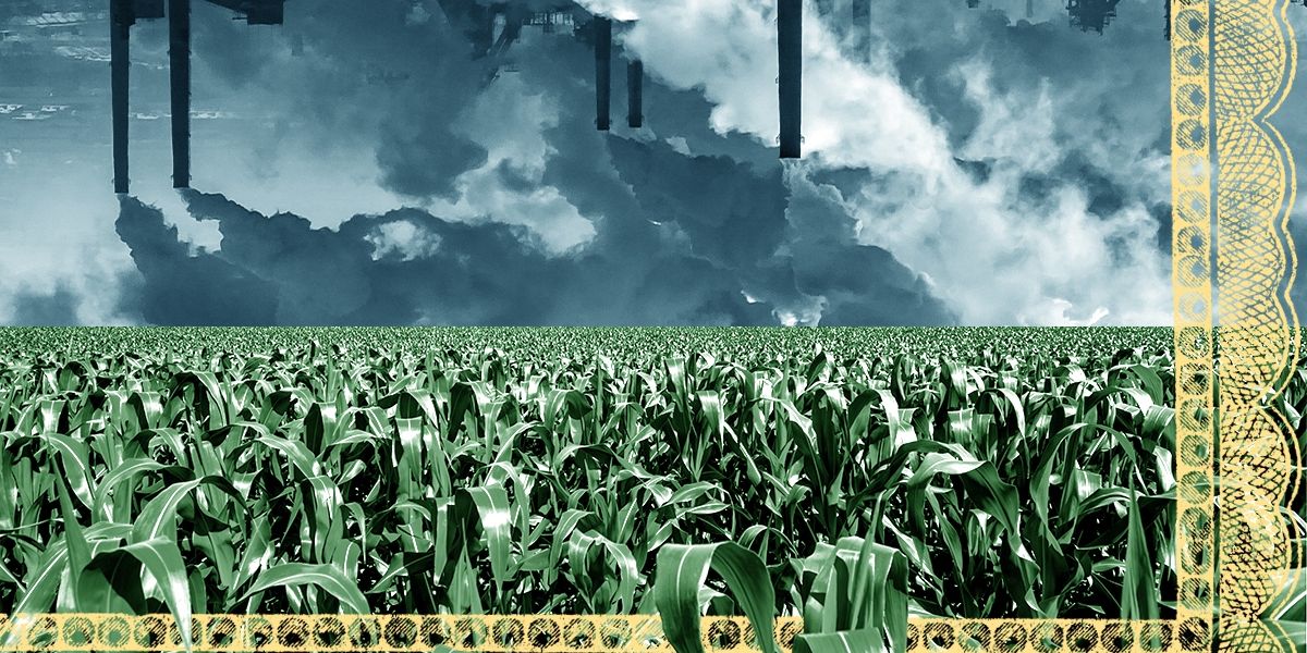 The Race to Avoid a Biomass Carbon Credit Crisis - Heatmap News