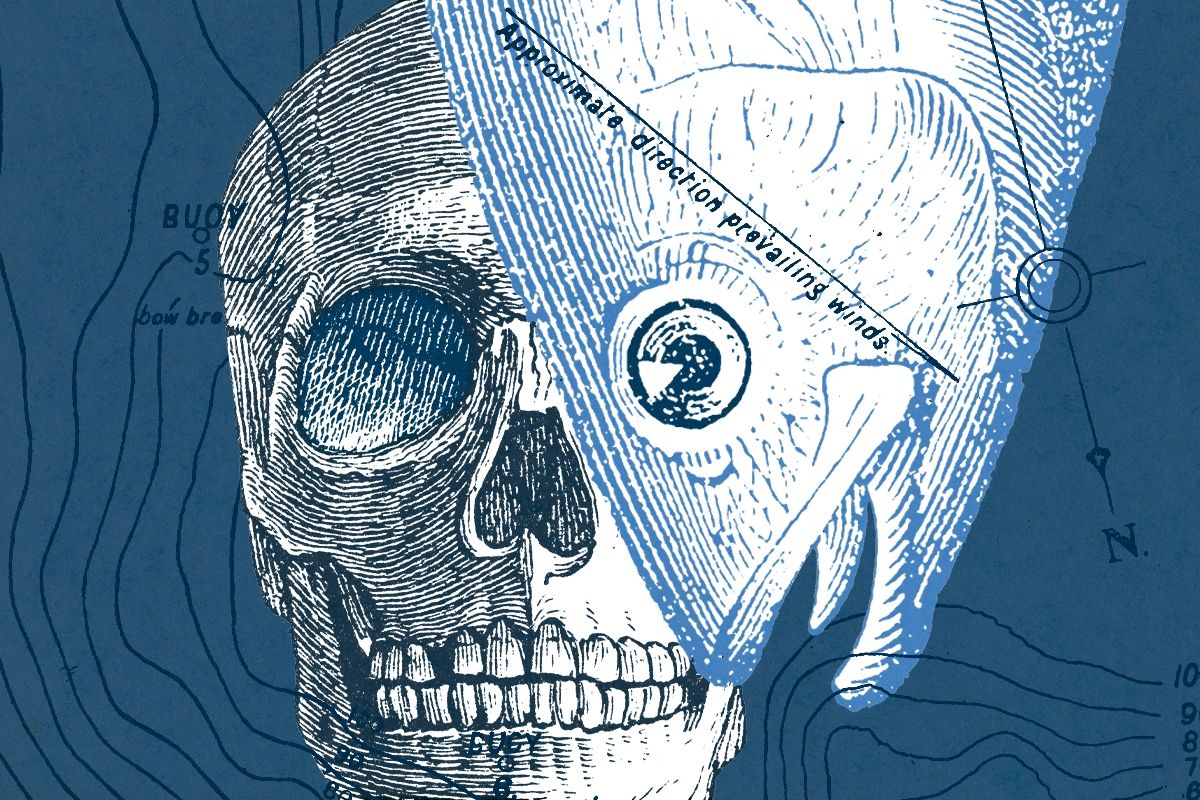 A skull and a tuna.