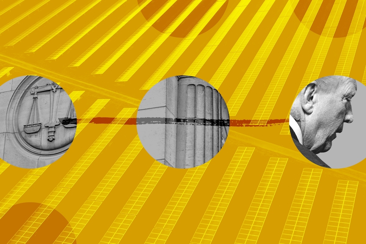 Solar panels and Donald Trump.