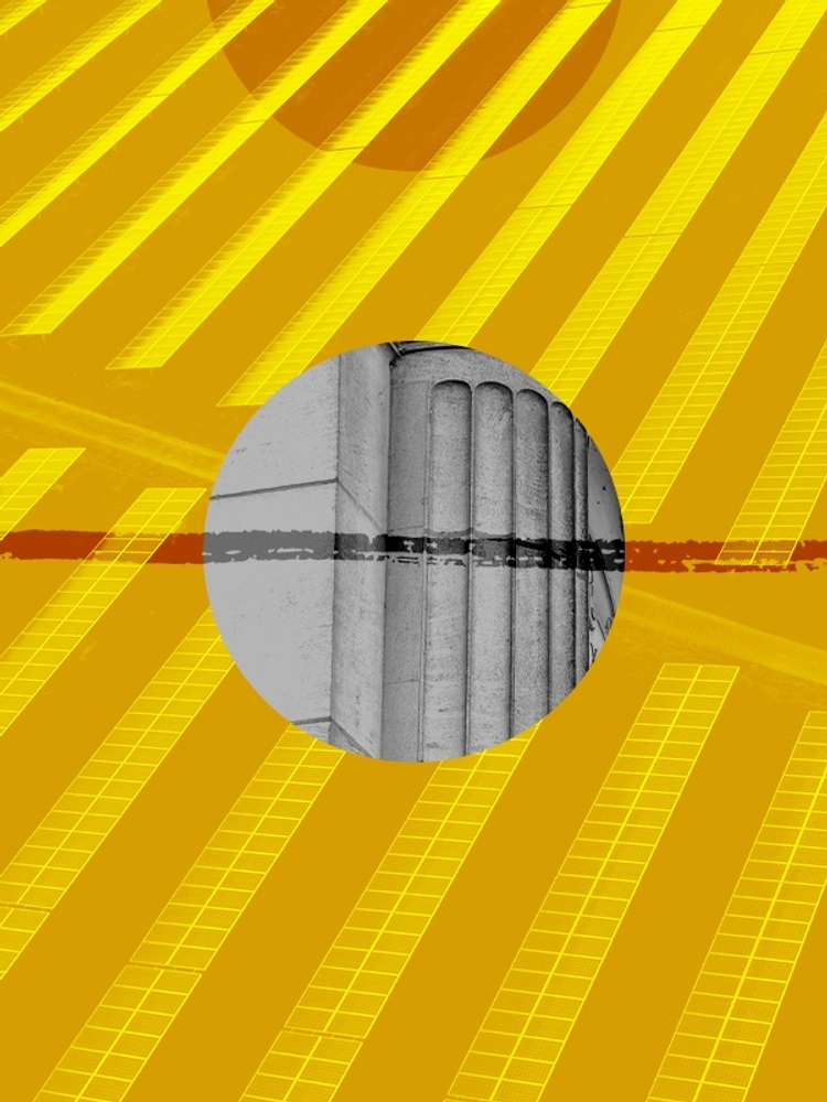 Solar panels and Donald Trump.