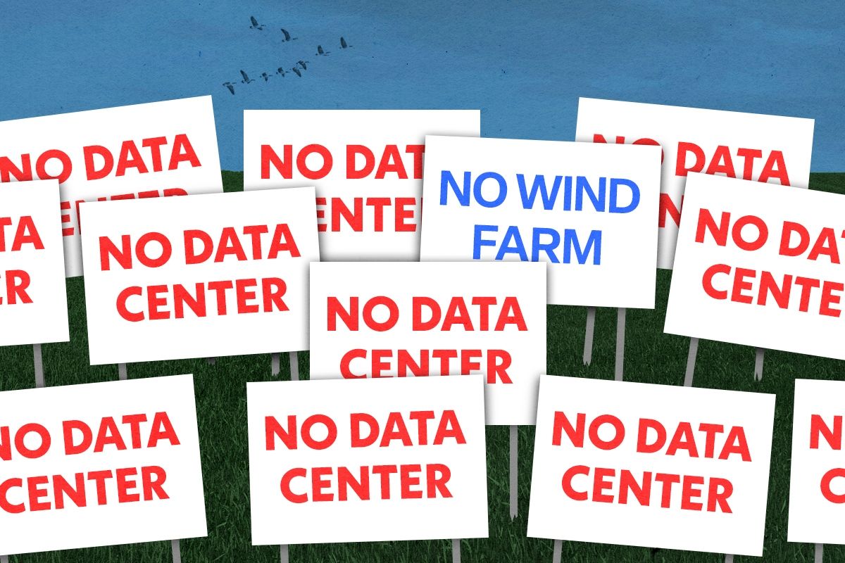 Protest signs.