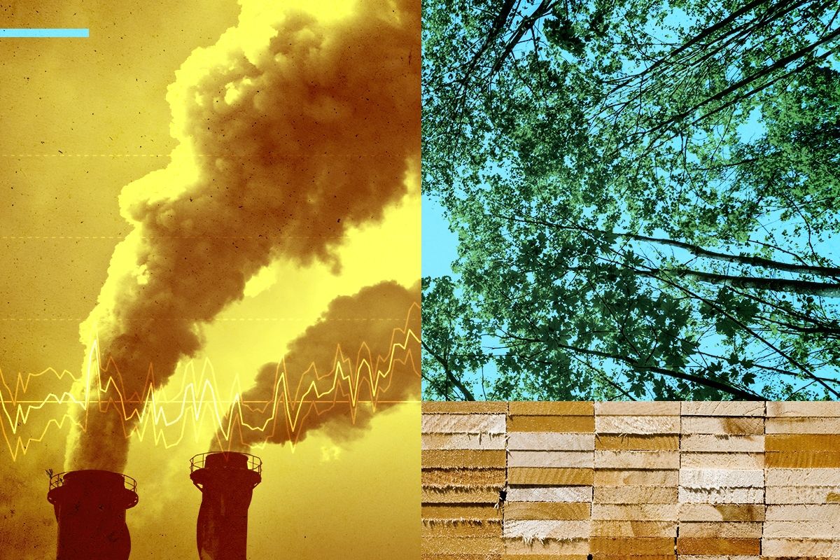 Pollution and trees.