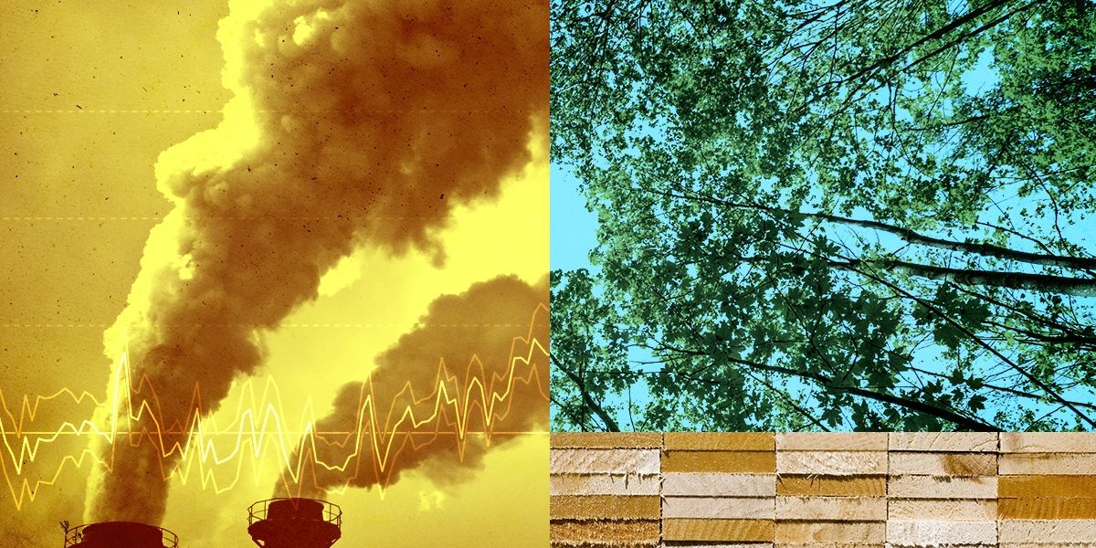 Leading Climate Standards Group Fraught With Secrecy and Bias, Whistleblowers Say