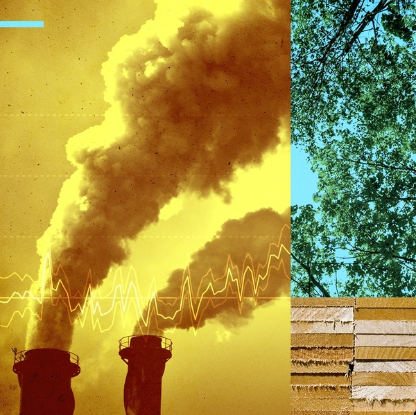 Pollution and trees.