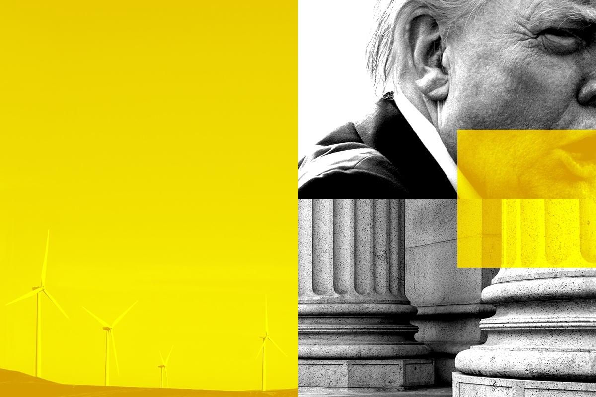 Donald Trump and wind turbines.