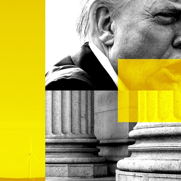 Donald Trump and wind turbines.