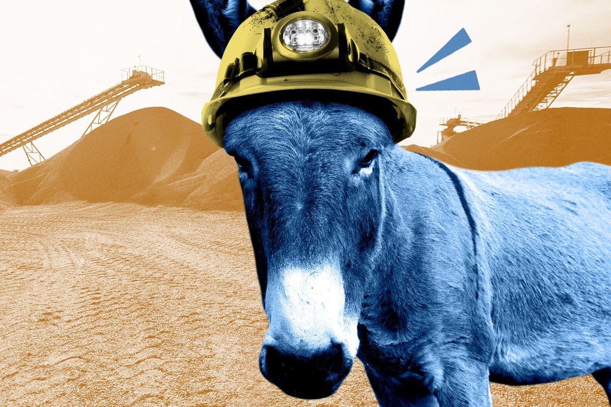 A donkey miner.