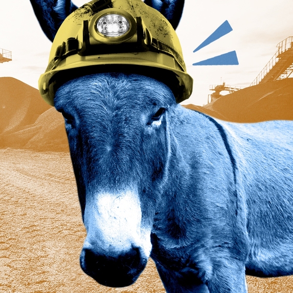 A donkey miner.