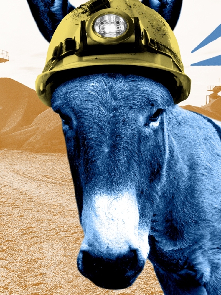 A donkey miner.