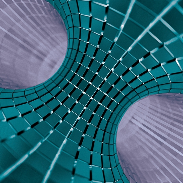 A tokamak.