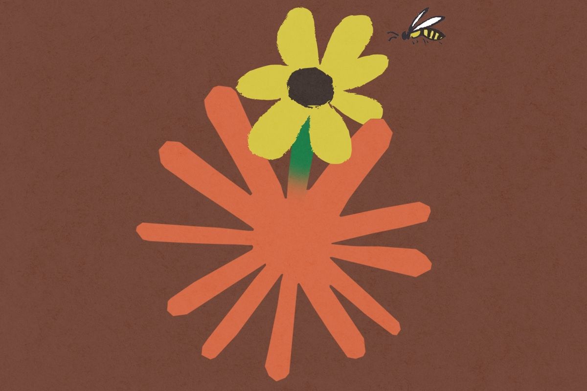 A Claude flower.