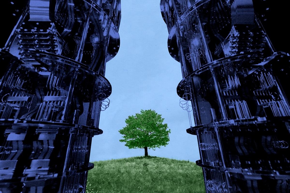 A tree and a quantum computer.