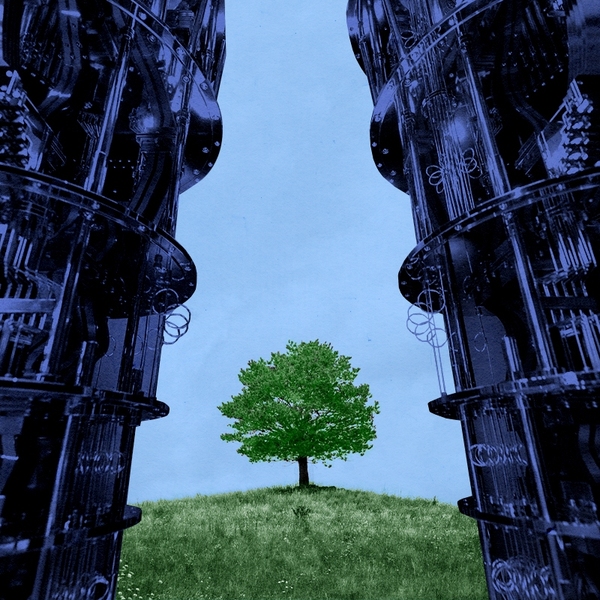A tree and a quantum computer.