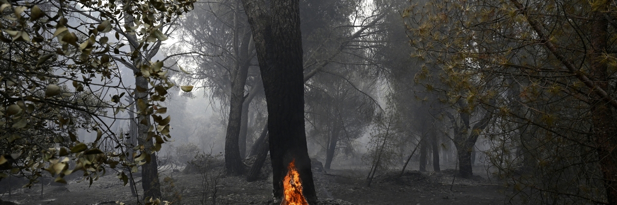 A fire in Europe.