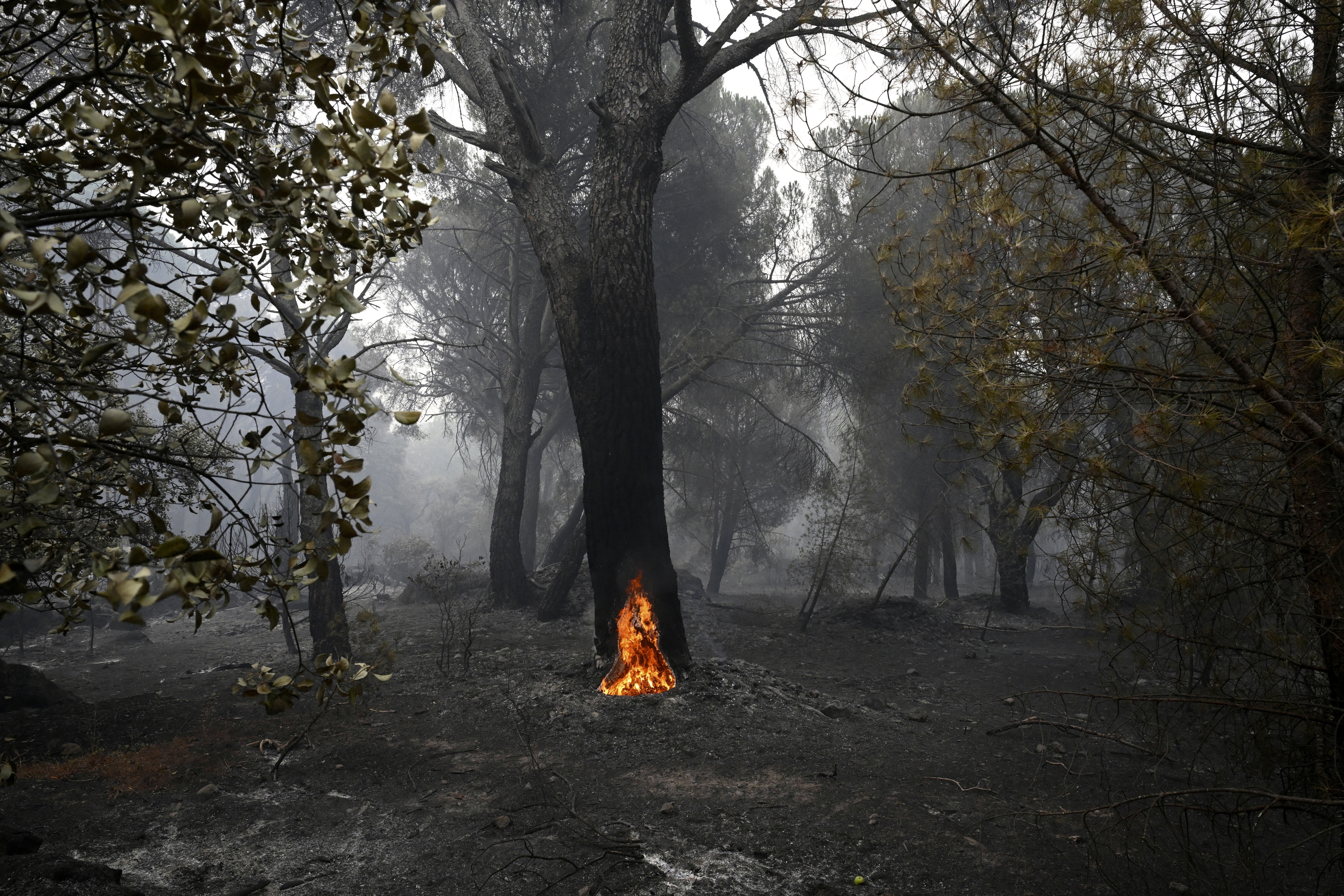A fire in Europe.