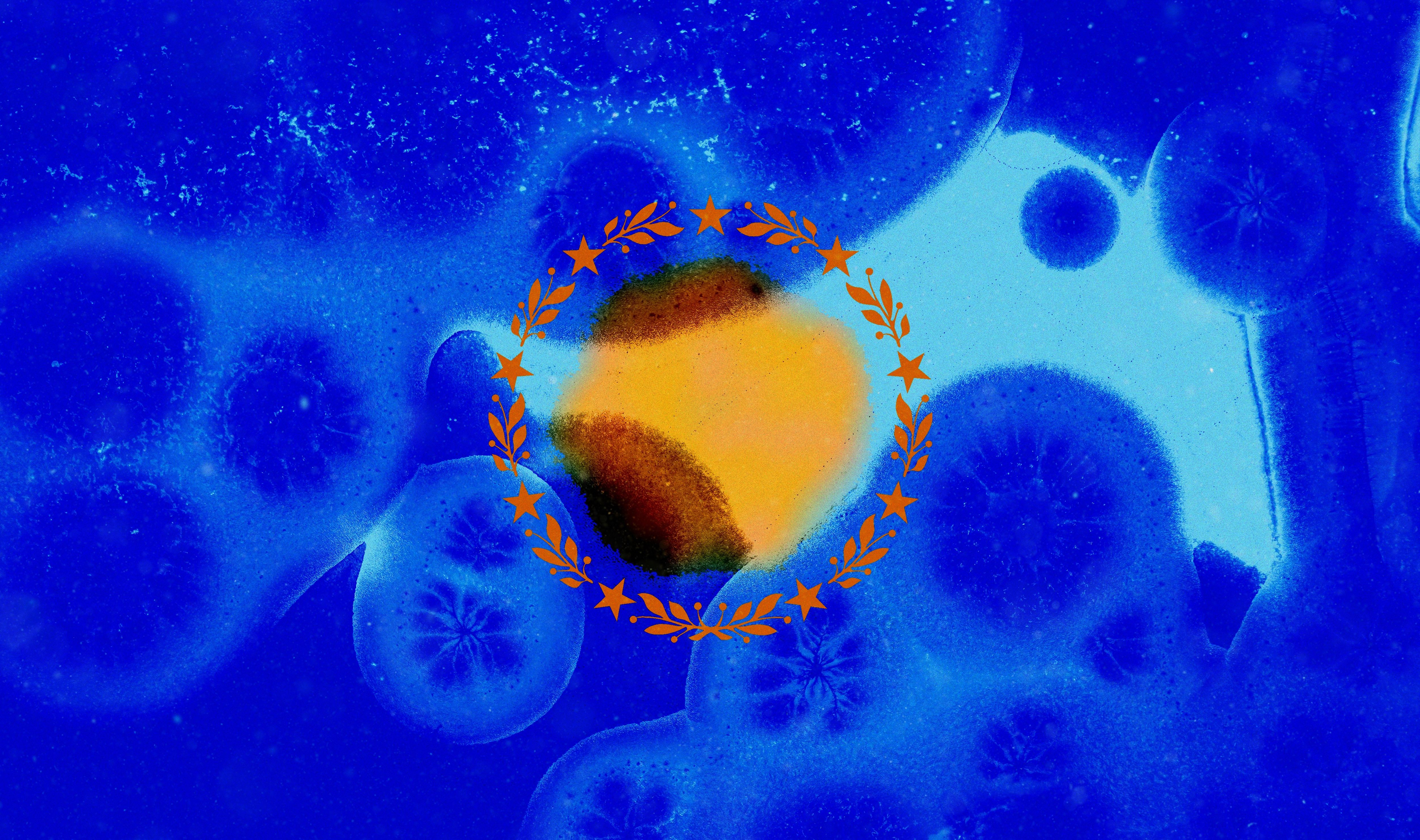 Cyanobacteria