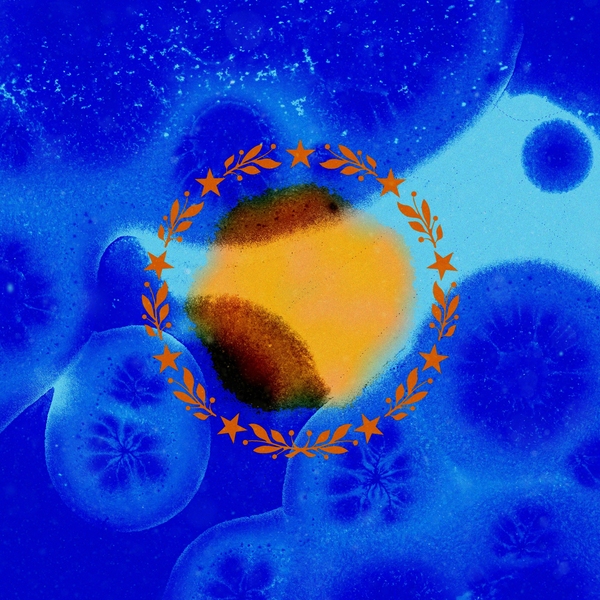 Cyanobacteria
