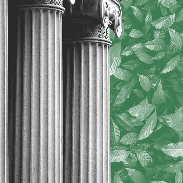 Pillars and leaves.