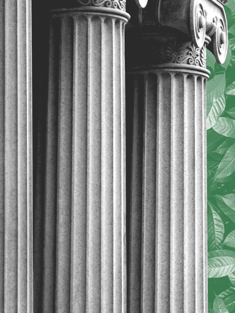 Pillars and leaves.
