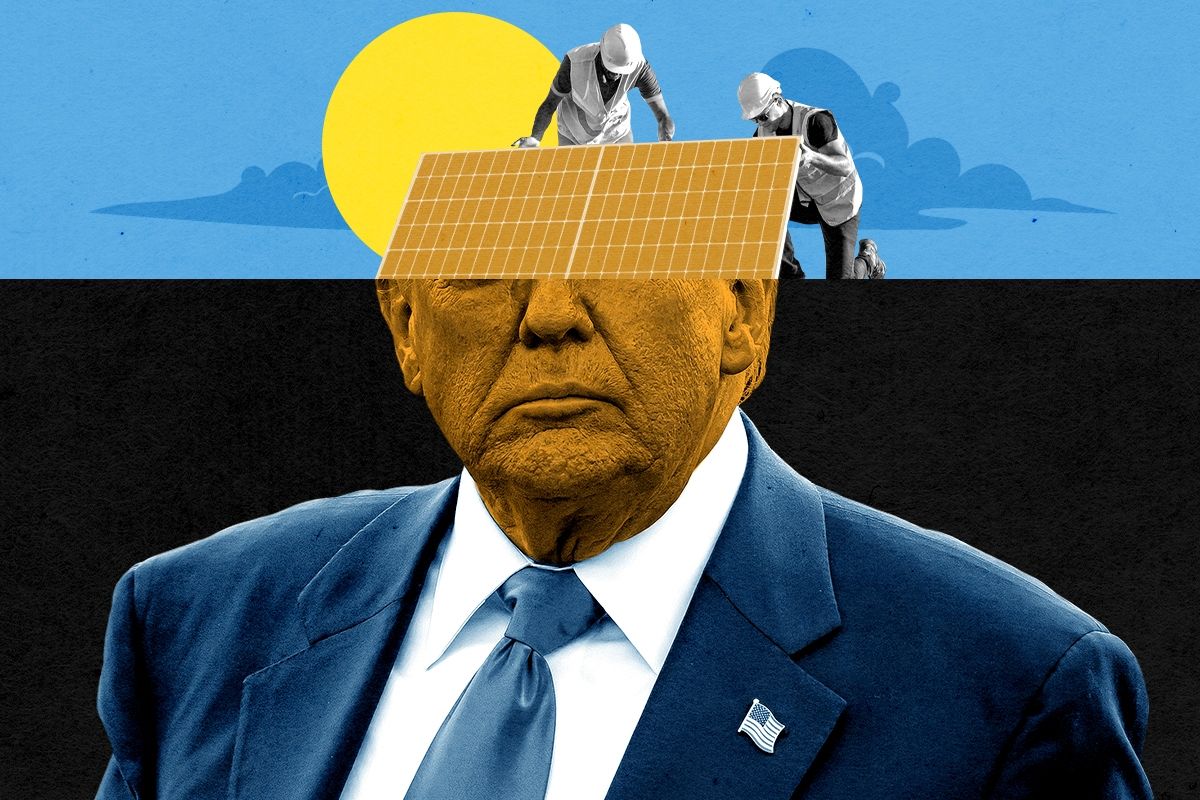 Donald Trump and solar installers.