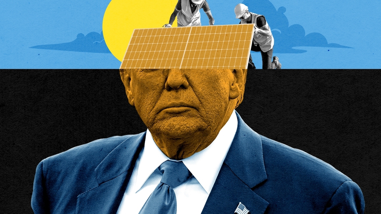 Donald Trump and solar installers.
