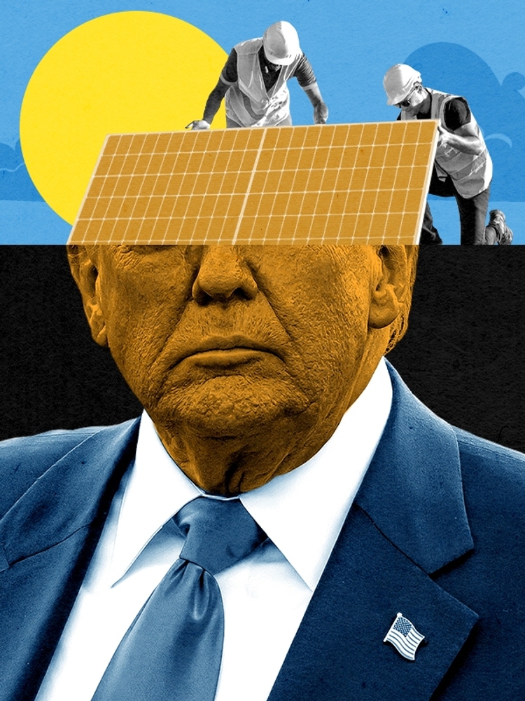Donald Trump and solar installers.