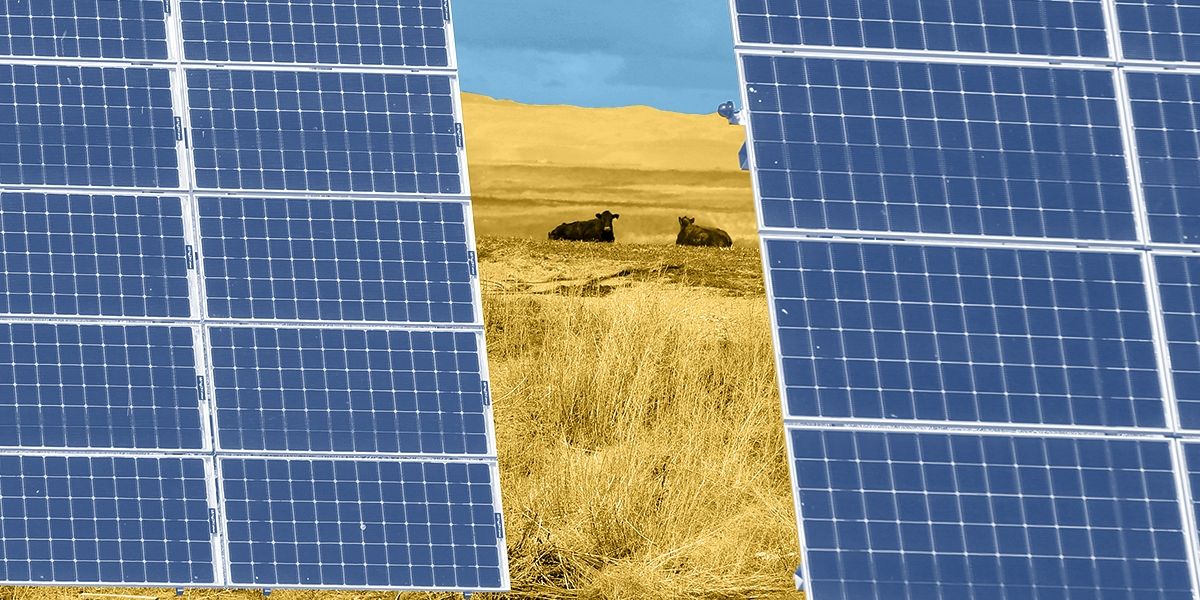 Trump administration offers aid package to domestic solar manufacturers