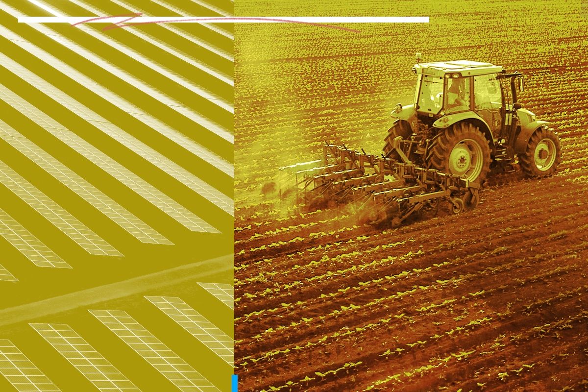 Farming and solar panels.