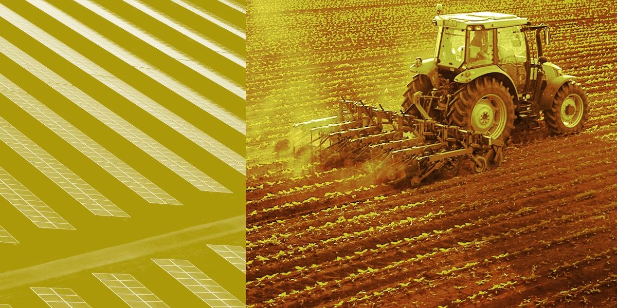 Trump administration considers farmland rule that could reshape renewables investment