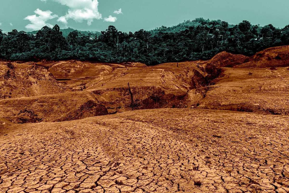 Cracked soil.