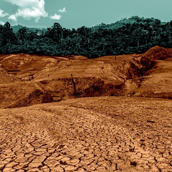 Cracked soil.