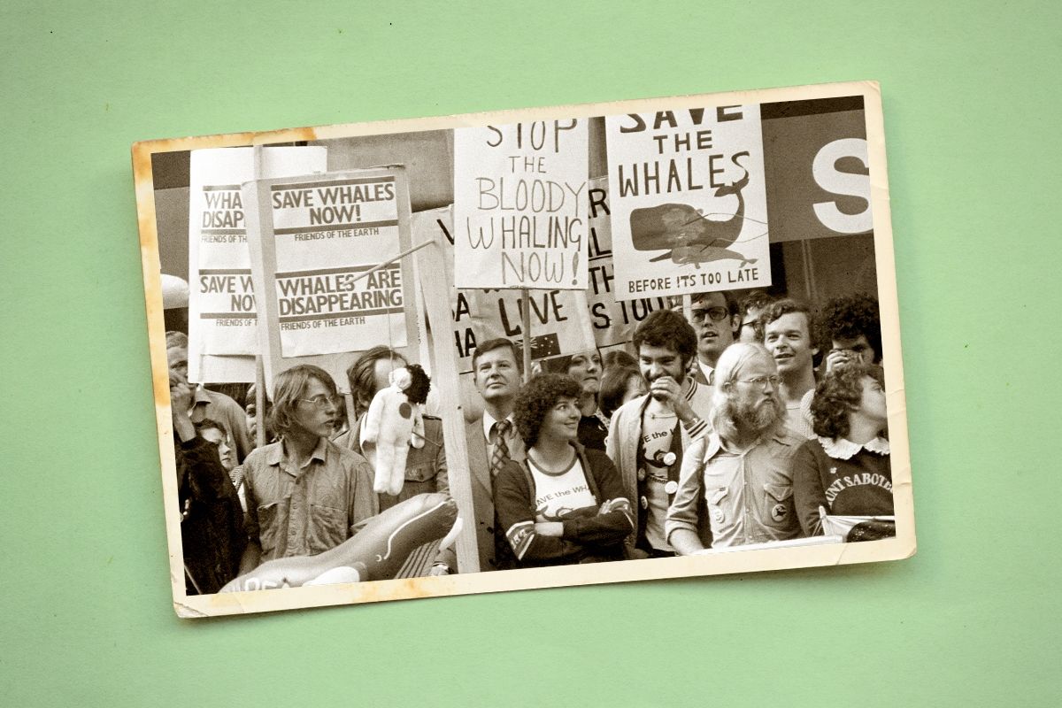 An old photograph.