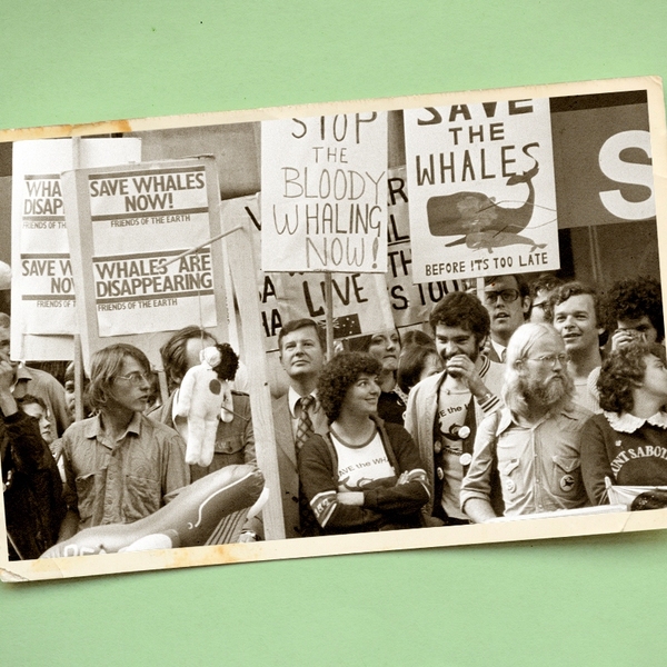An old photograph.