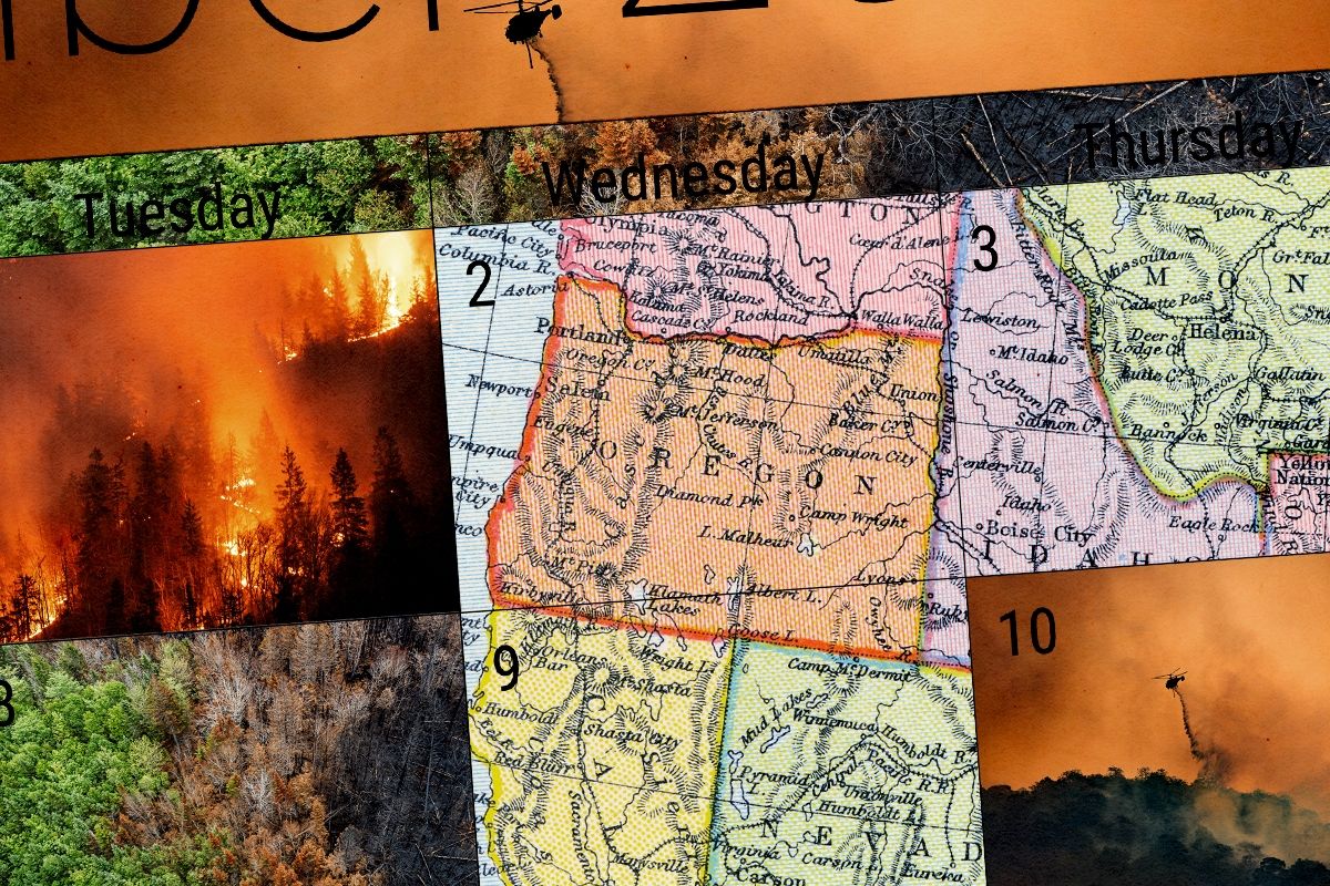 Wildfire.
